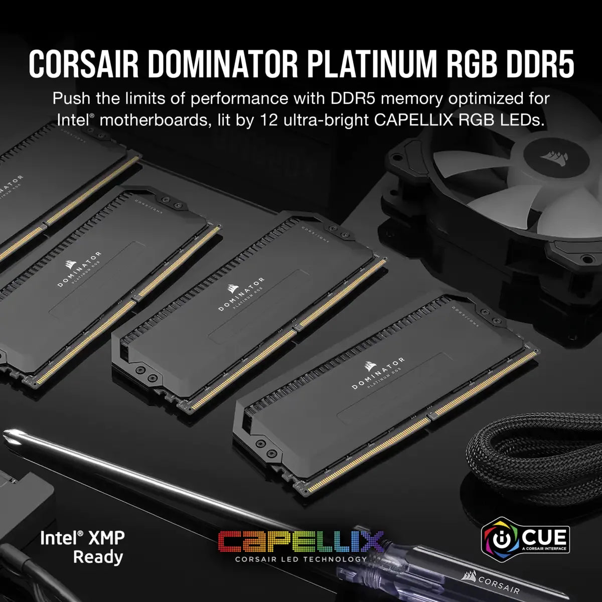 Image 8 for Corsair DOMINATOR RGB 32GB DDR5 6400MHz Black