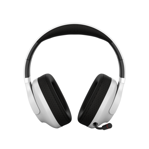 Image 1 for CANYON headset EGO GH-16 3in1 2.4Ghz+BT White