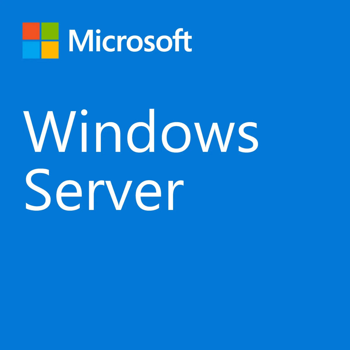Image 1 for Microsoft Windows Server 2022 1 User CAL