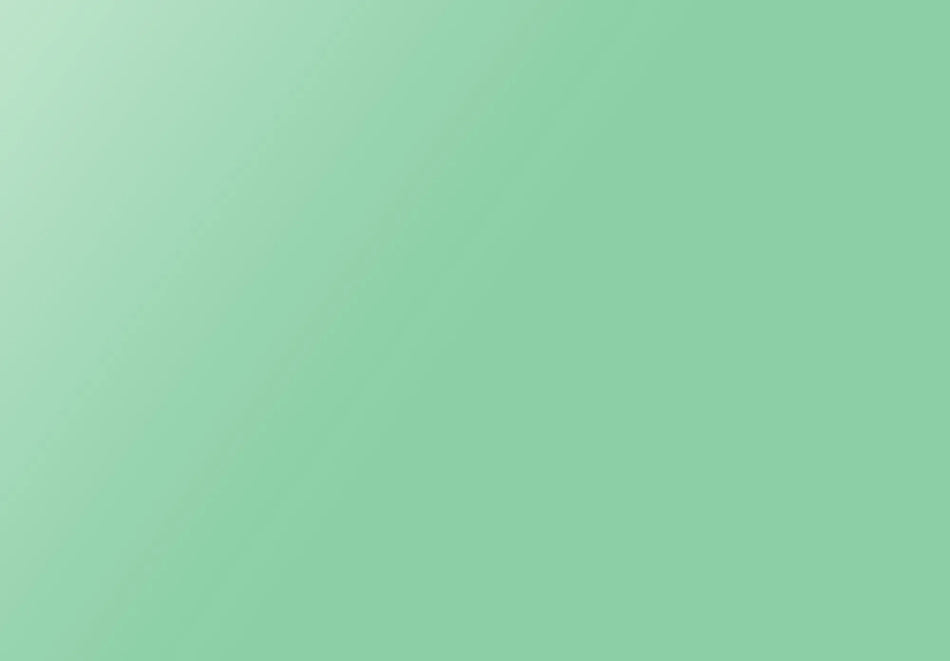 Image 1 for Cricut Premium Permanent Vinyl 30x120cm Pastel Green