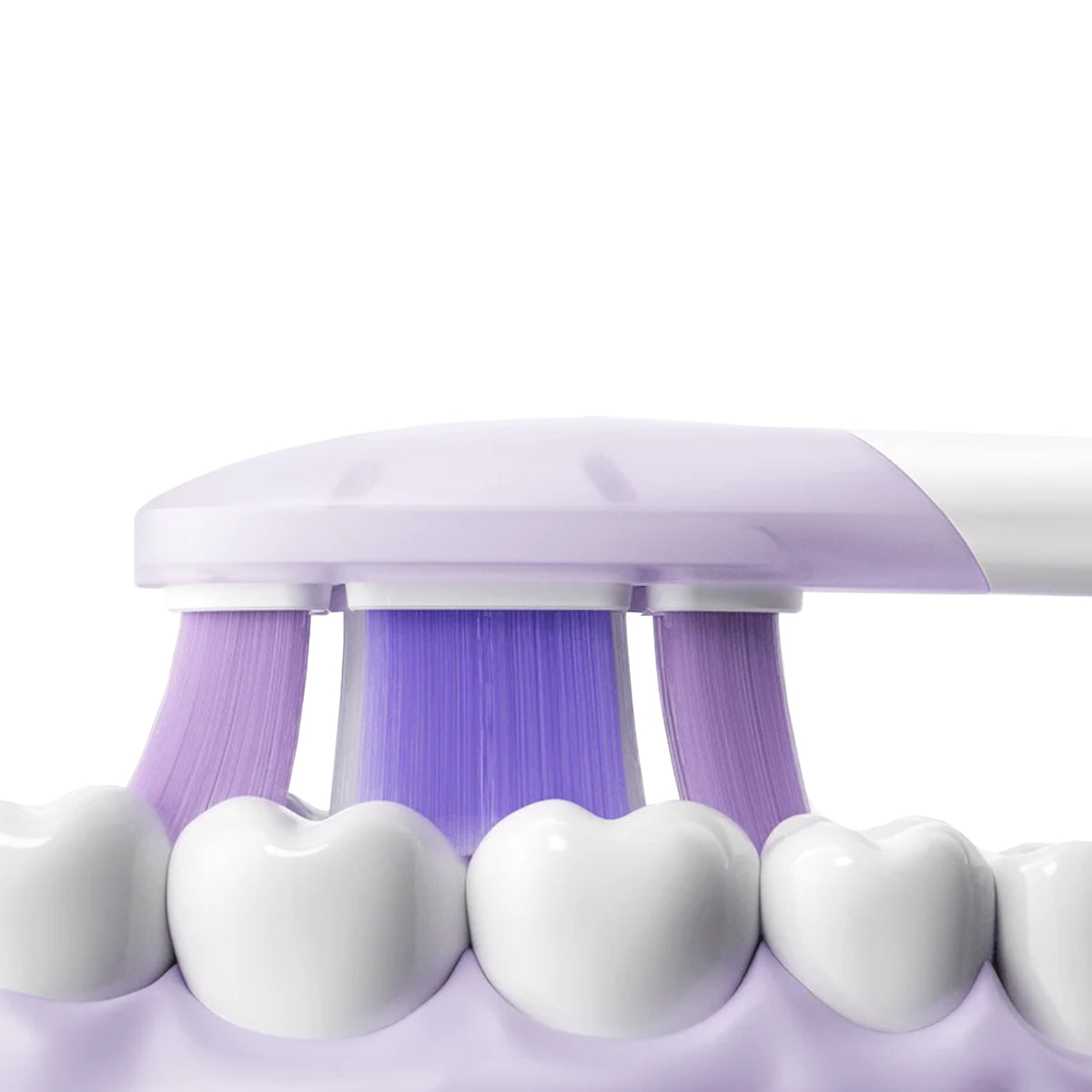 Image 6 for Xiaomi Oscillation Electric Toothbrush Pro Replacement Heads (Soft)