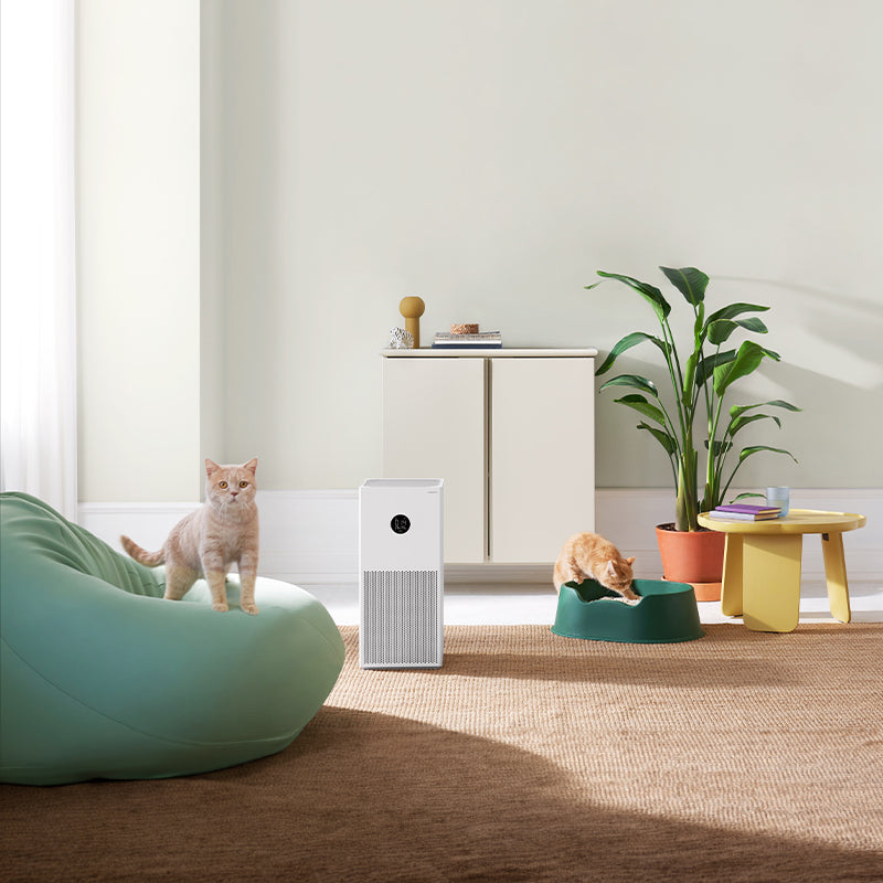 Image 9 for Xiaomi Smart Air Purifier 4 Lite EU