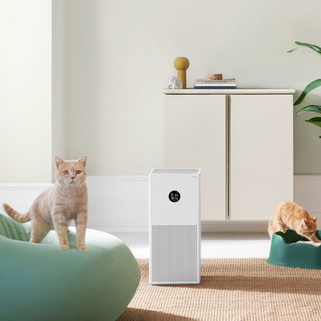 Image 5 for Xiaomi Smart Air Purifier 4 Lite EU