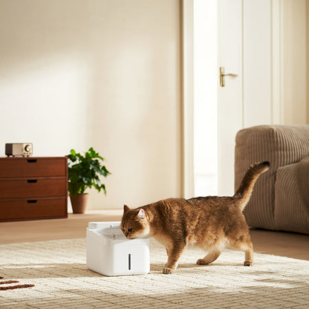 Image 5 for Xiaomi Smart Pet Fountain 2