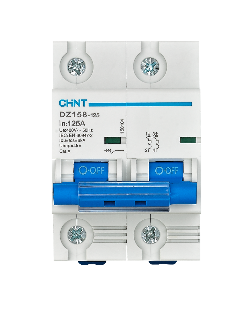 CHINT 2-Pole Circuit Breaker 100A C-Curve