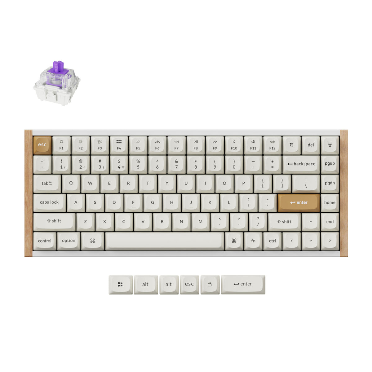 Image 1 for Keychron K2 HE Wireless Special Edition Magnetic Custom Keyboard | NEBULA Switch – White