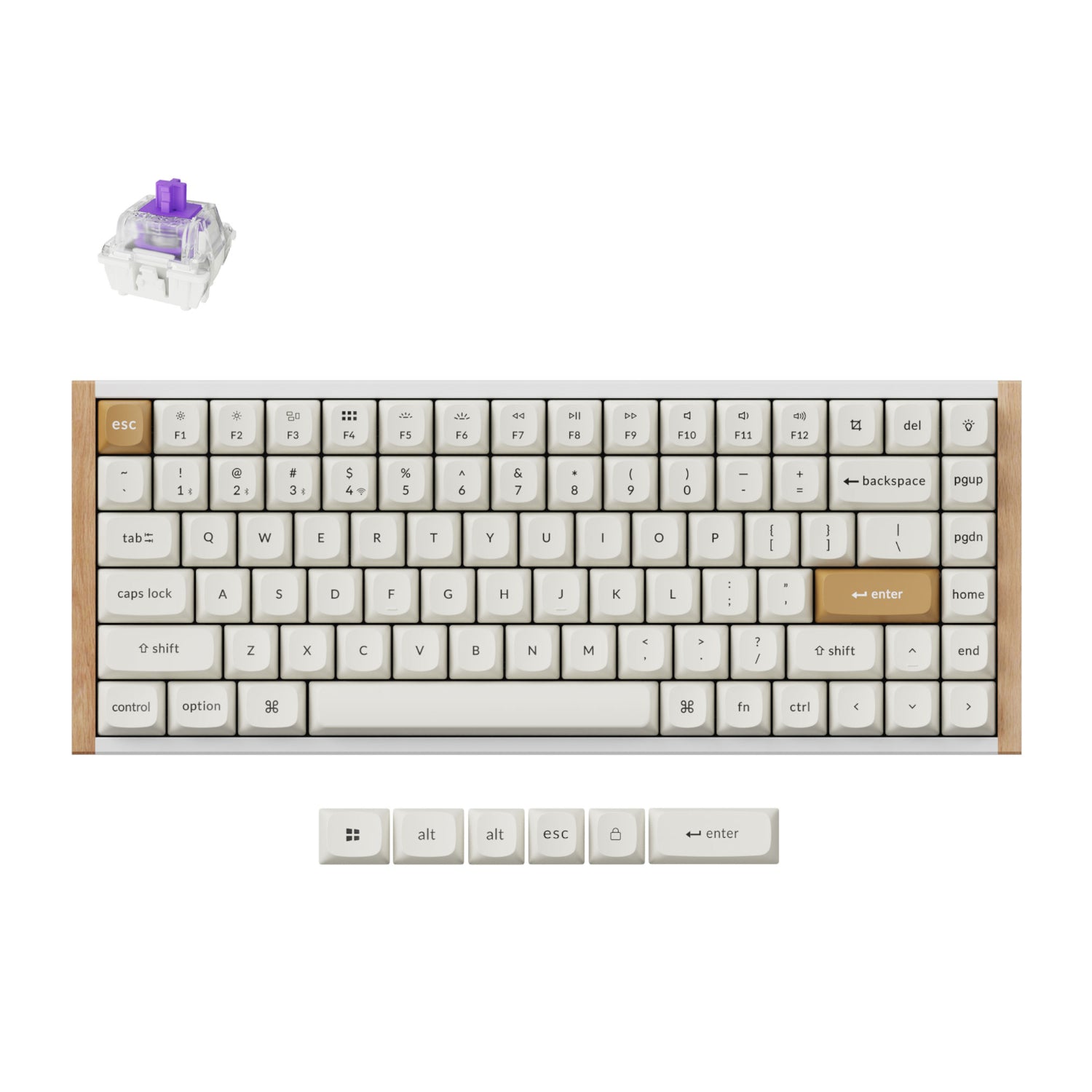 Image 1 for Keychron K2 HE Wireless Special Edition Magnetic Custom Keyboard | NEBULA Switch – White