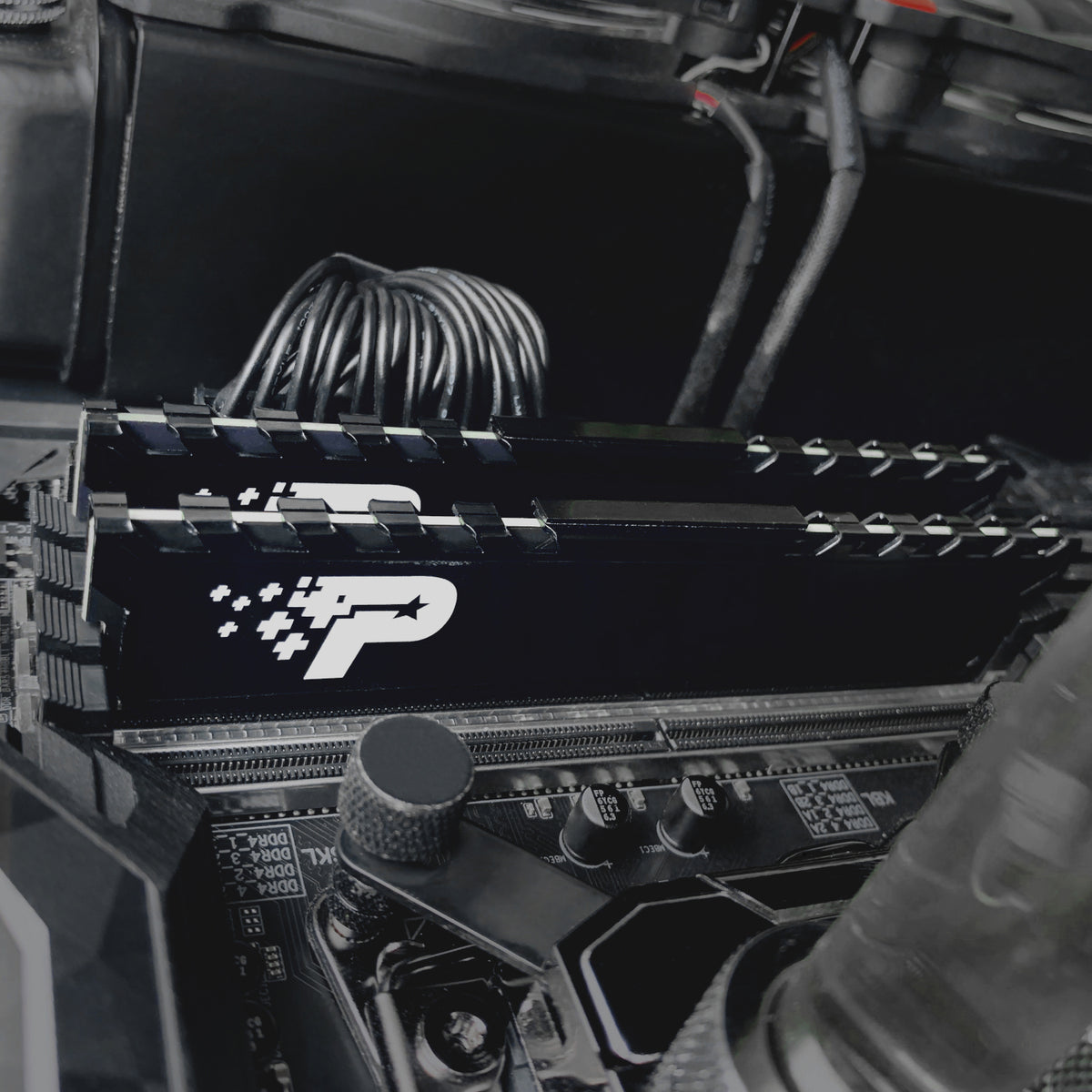 Image 5 for Patriot Signature Premium Line DDR4 16GB 3200MHz UDIMM