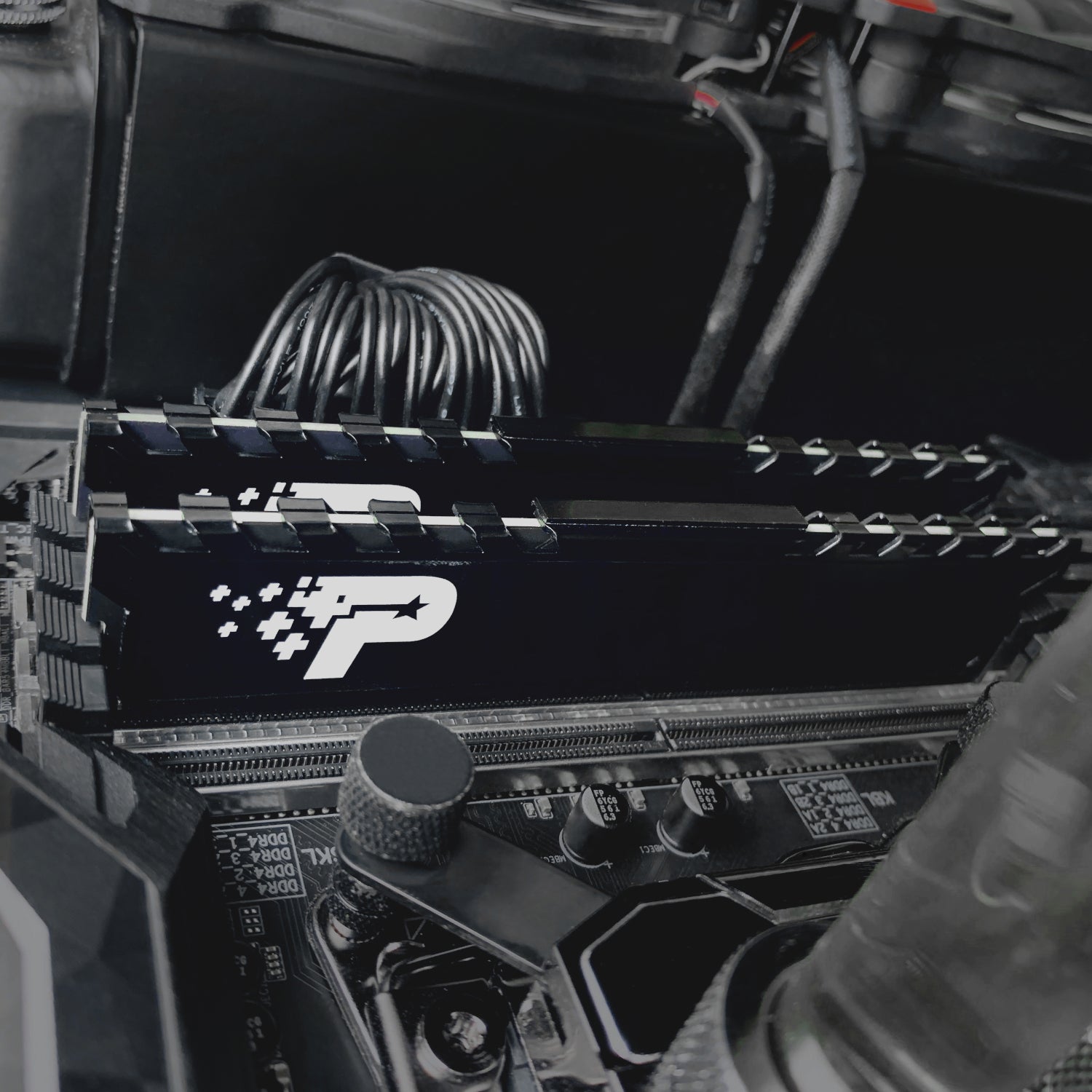 Image 5 for Patriot Signature Premium Line DDR4 16GB 3200MHz UDIMM