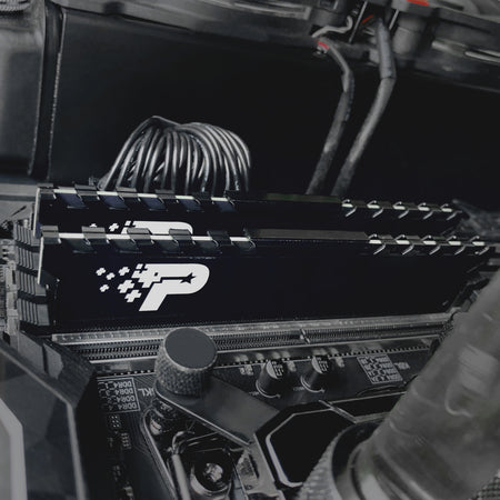 Image 5 for Patriot Signature Premium Line DDR4 16GB 3200MHz UDIMM