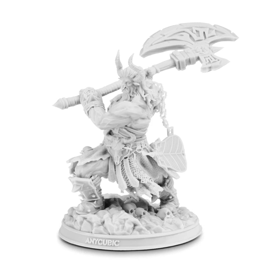 Image 2 for Anycubic Standard Resin V2 - White