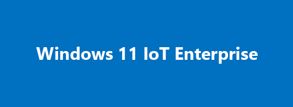 Microsoft Windows 11 IoT Enterprise 2024 LTSC