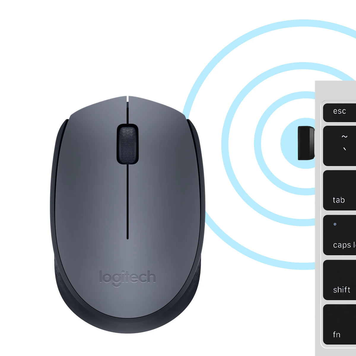 Image 5 for Logitech M170 Wireless Mouse - Grey
