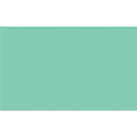 Image 3 for Cricut Premium Permanent Vinyl 30x120cm Pastel Green